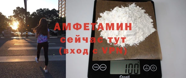 индика Дмитров