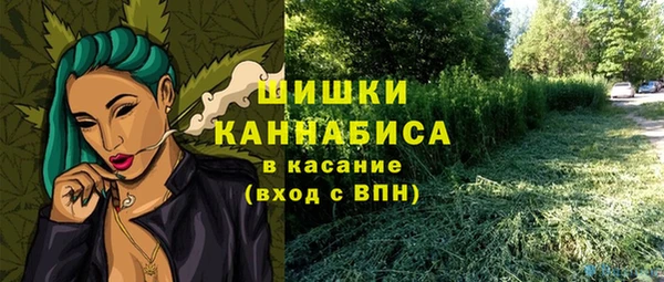 индика Тихорецк