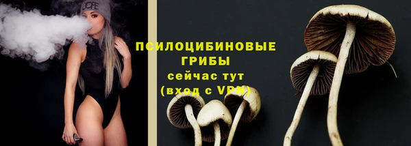 индика Тихорецк