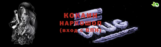 сатива Тында