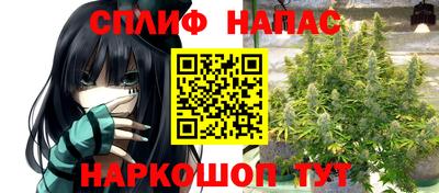 винт Гай
