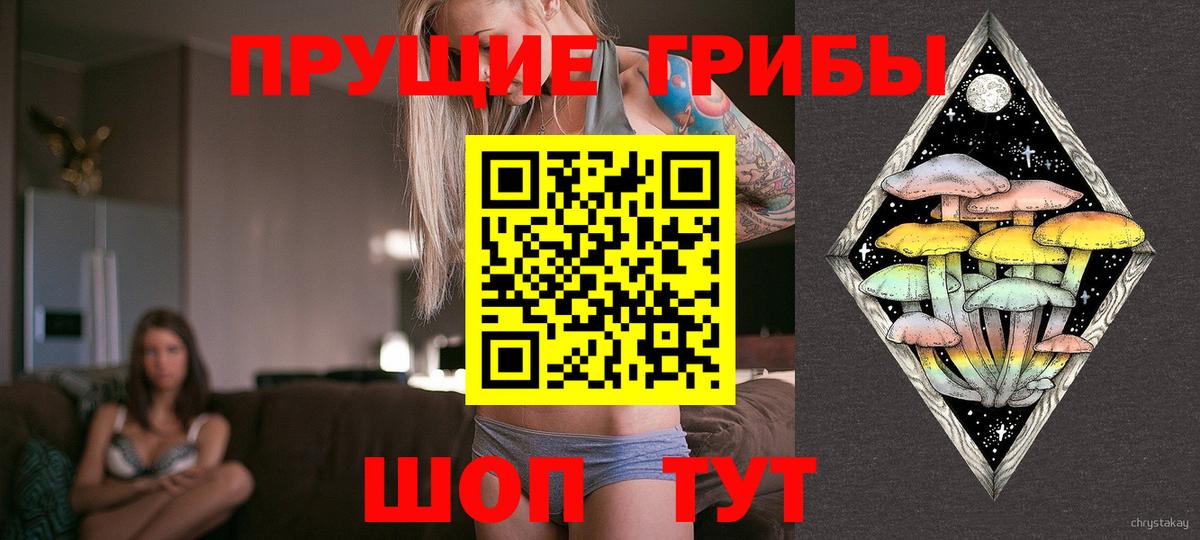Галлюциногенные грибы прущие грибы  Гай 
