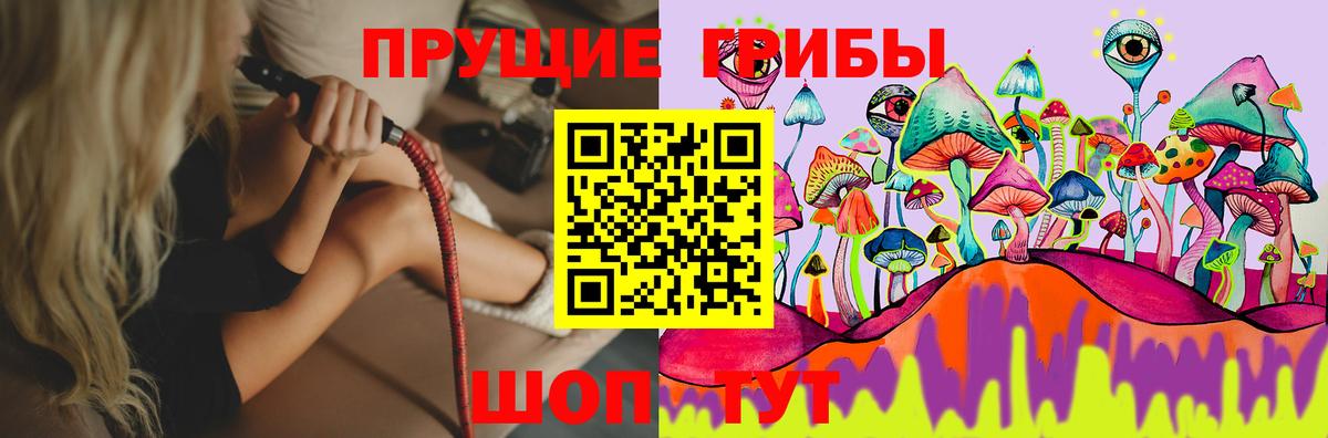 Галлюциногенные грибы прущие грибы  Галлюциногенные грибы прущие грибы  Вход с VPN  Гай 