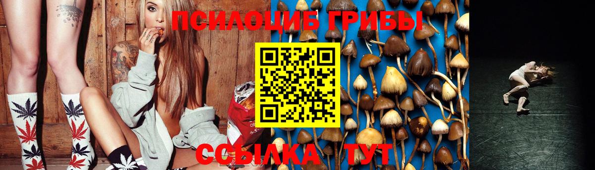 Галлюциногенные грибы Magic Shrooms Гай