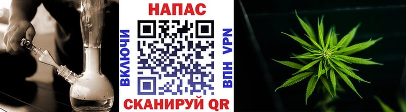 Канабис конопля  Гай 